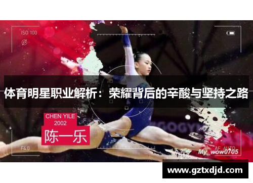 体育明星职业解析：荣耀背后的辛酸与坚持之路