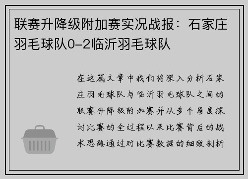 联赛升降级附加赛实况战报：石家庄羽毛球队0-2临沂羽毛球队